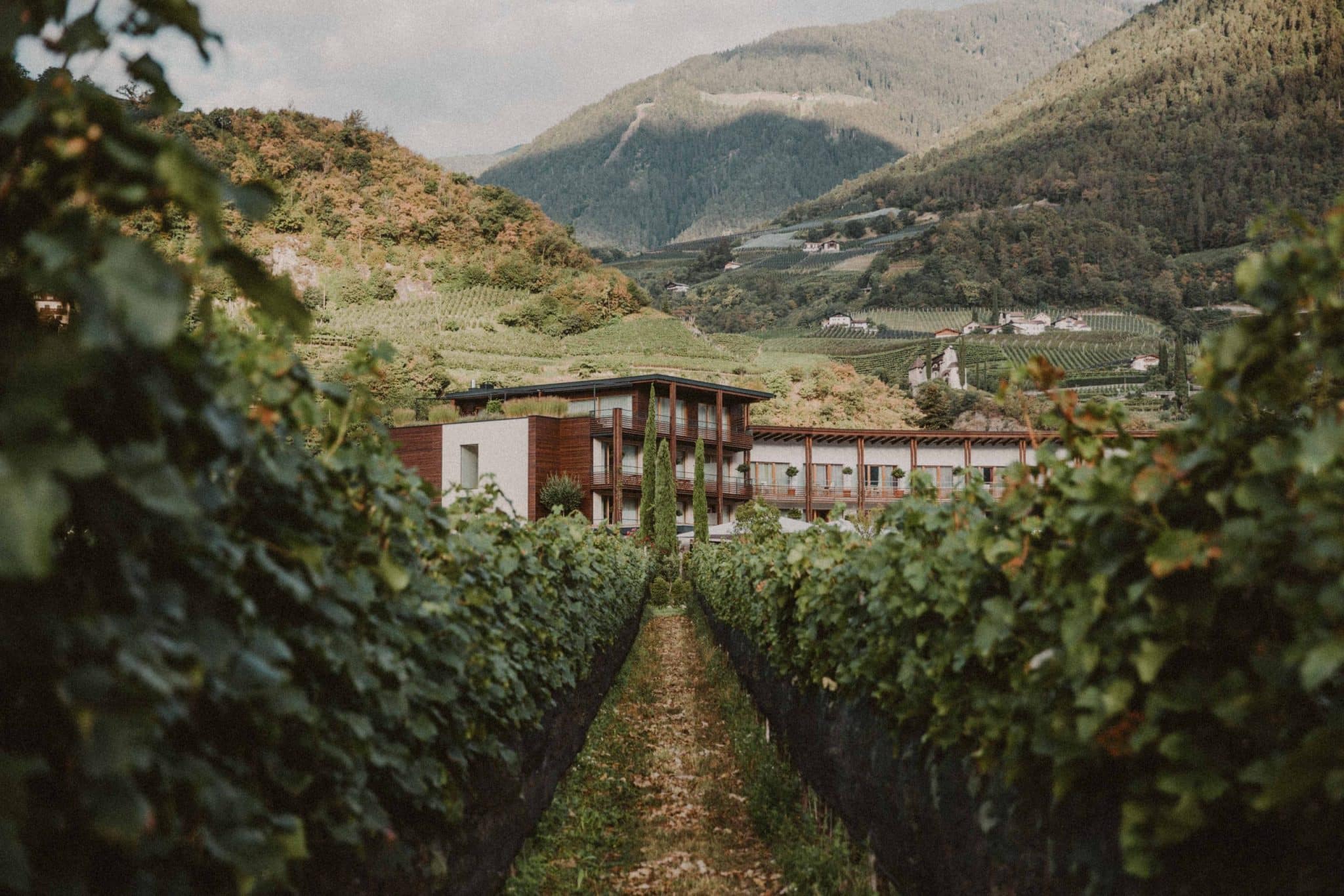 Schwarzschmied — vineyards beneath the mountains of South Tyrol