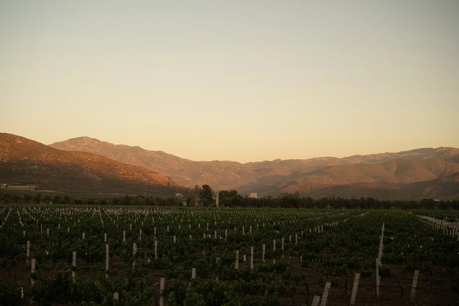 Bruma Wine Resort — Architektur im Valle de Guadalupe