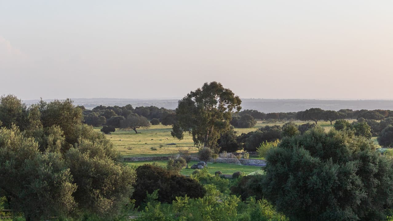 Alentejo countryside, Monsaraz