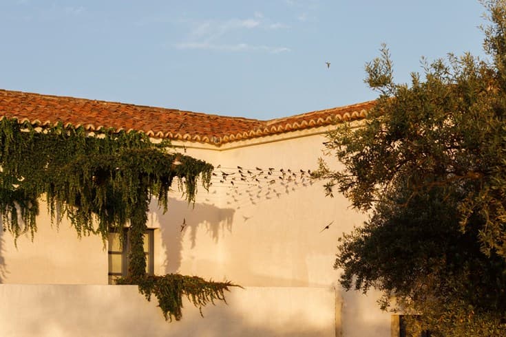 Courtyard Room, São Lourenço do Barrocal — courtyard room 5