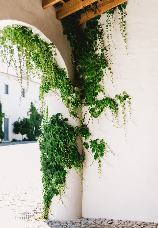 Stone arch and greenery, São Lourenço do Barrocal