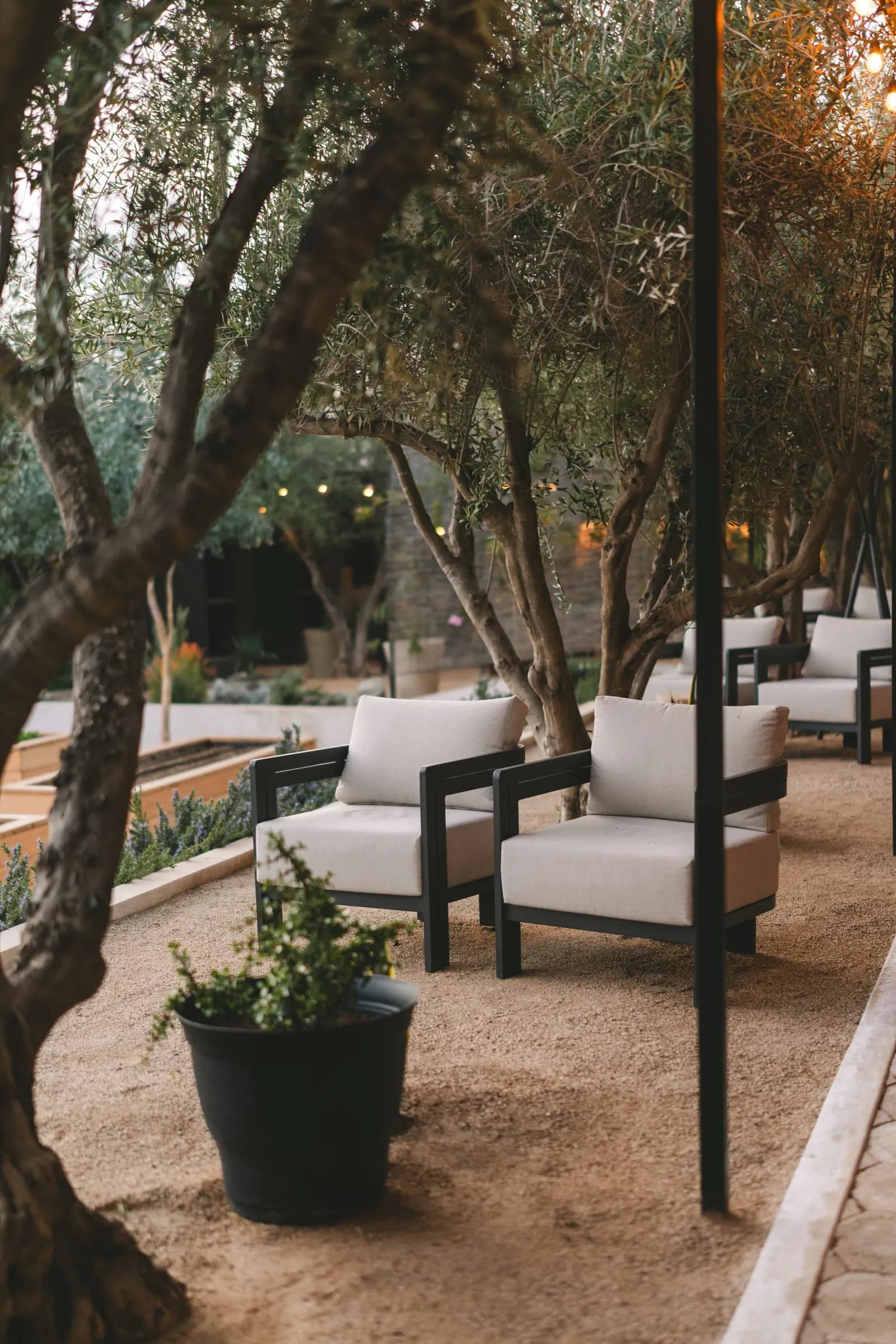 Olivea Farm to Table — lounge-2
