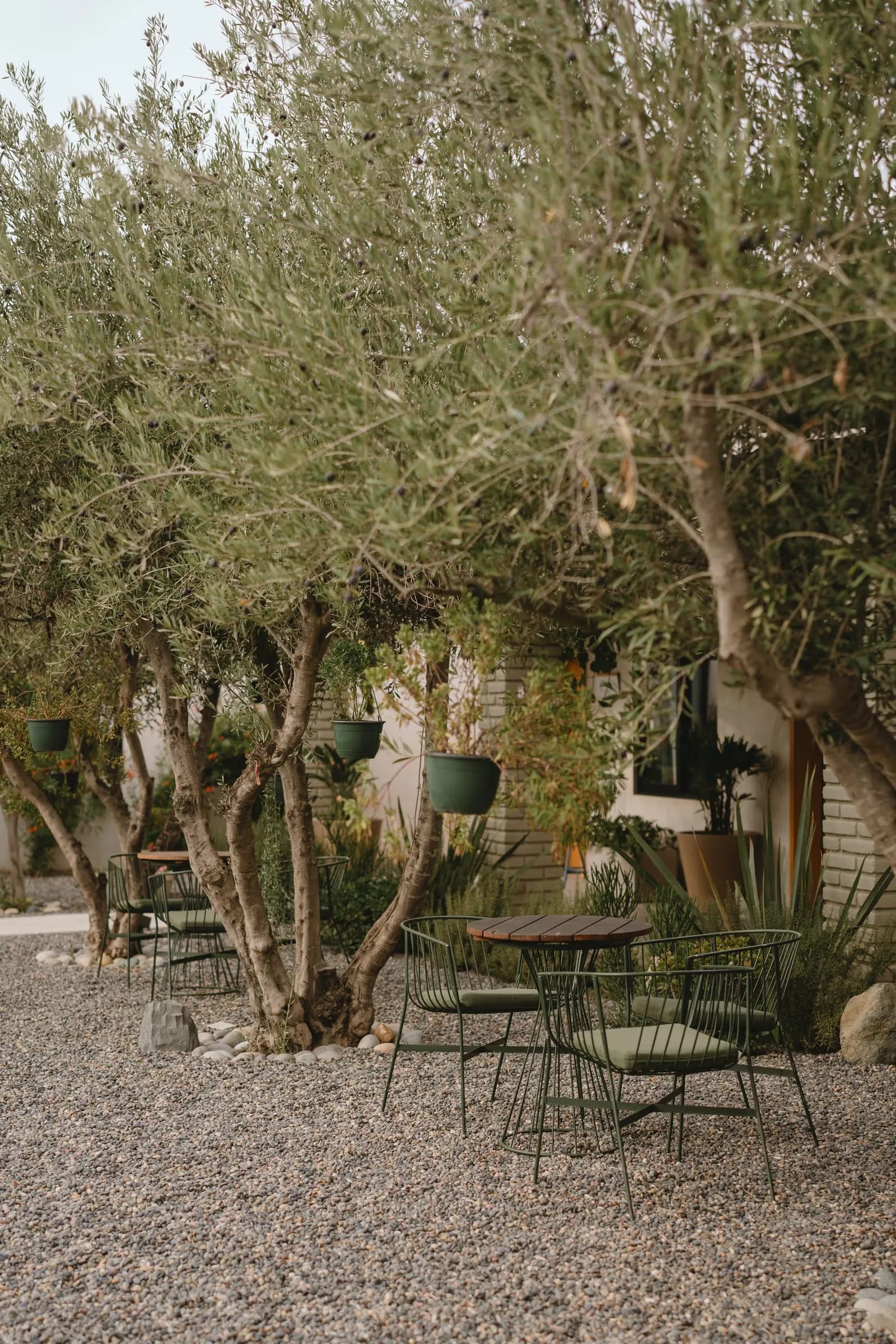 Olivea Farm to Table — patio3