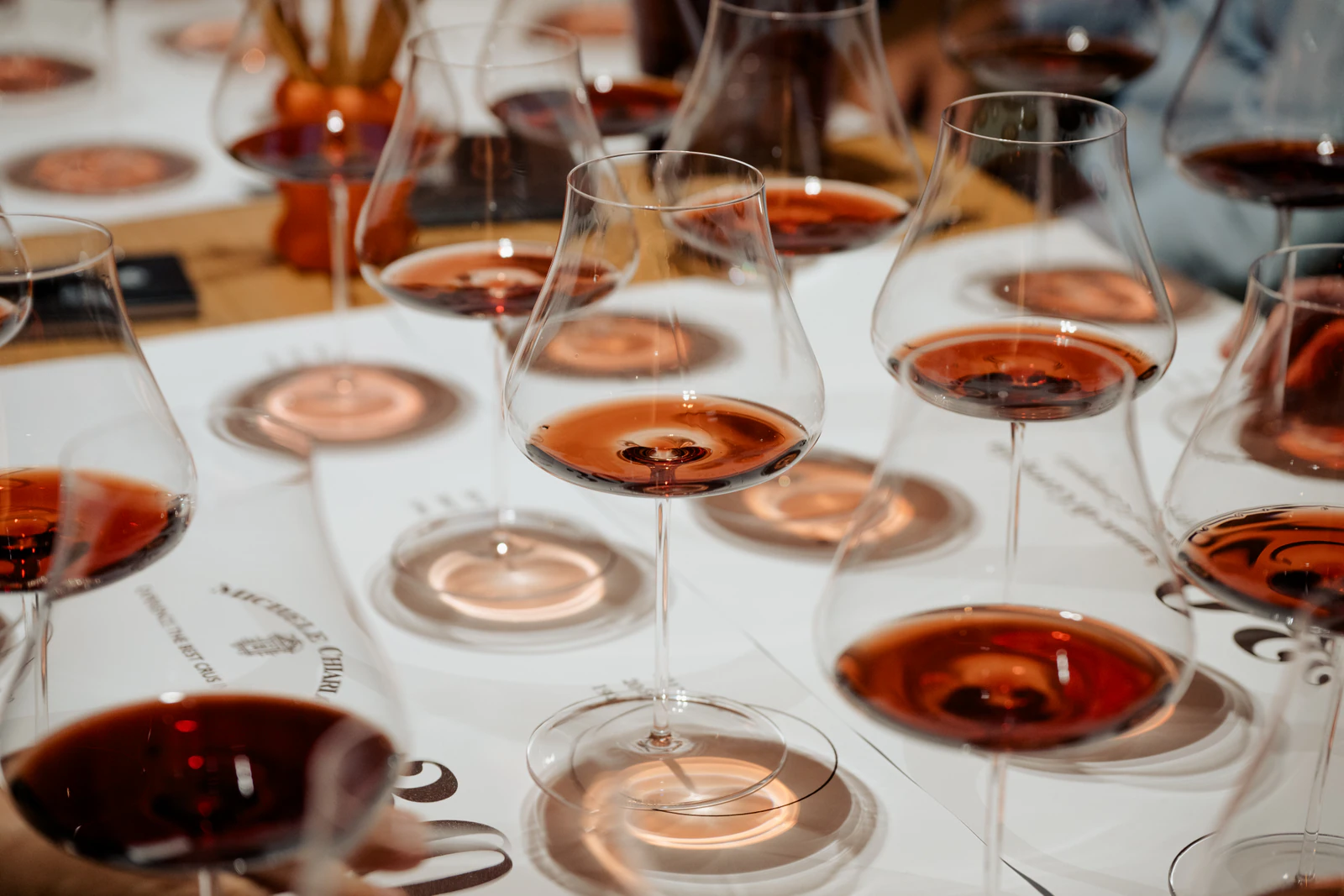 Viele Gläser mit Barolo auf einem weißen Verkostungstisch.