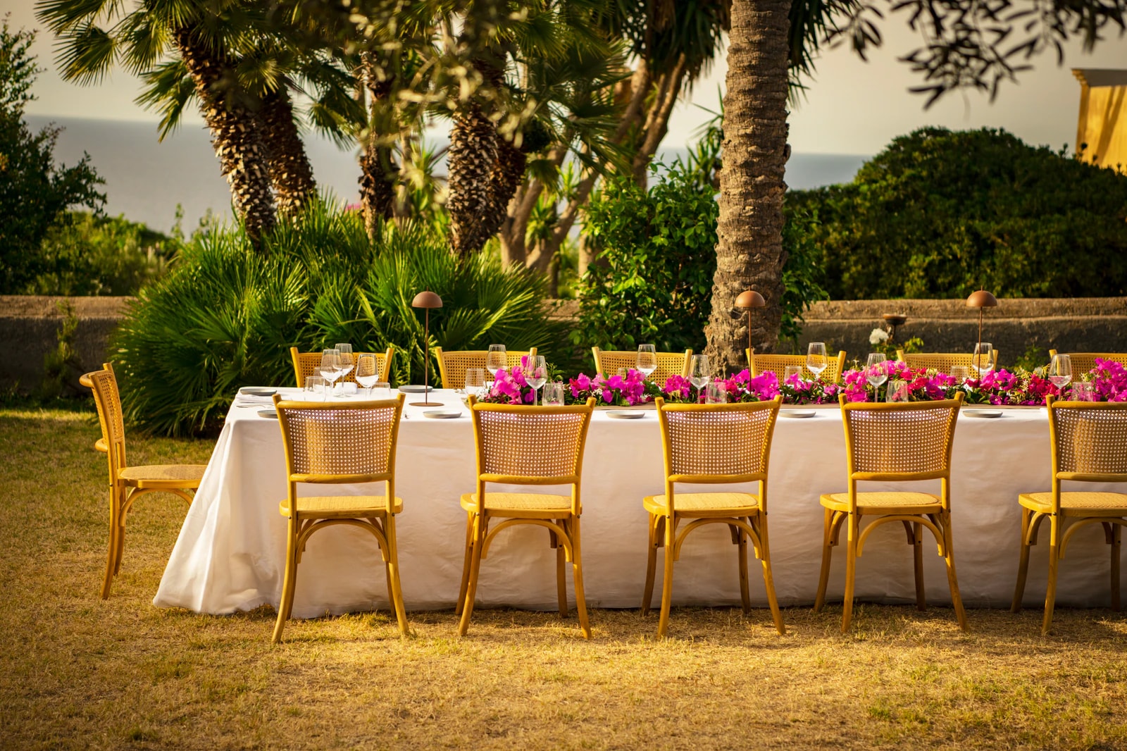 Lange gedeckte Tafel im Garten unter Palmen.