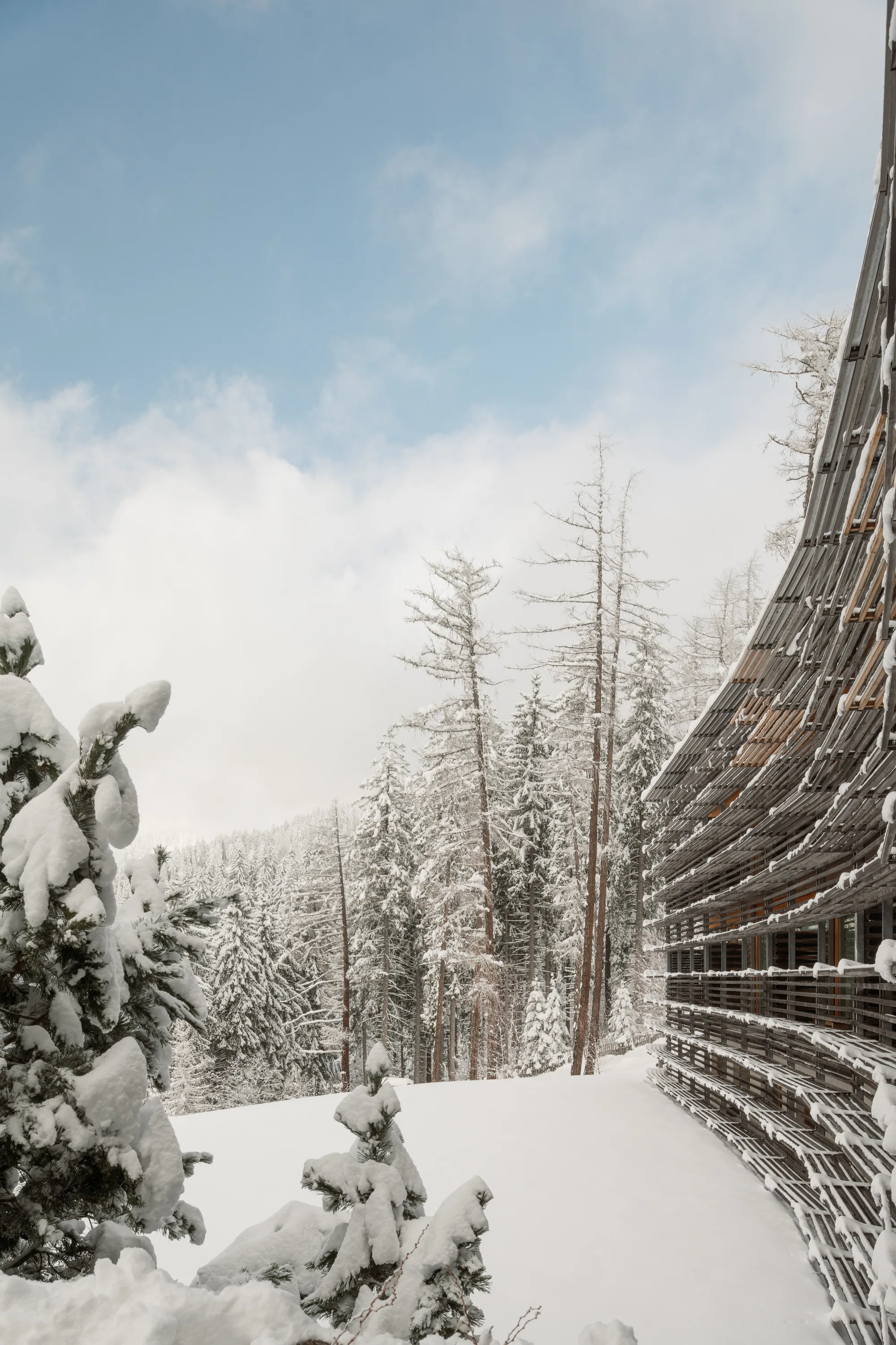 Winter landscape around vigilius mountain resort on the Vigiljoch.