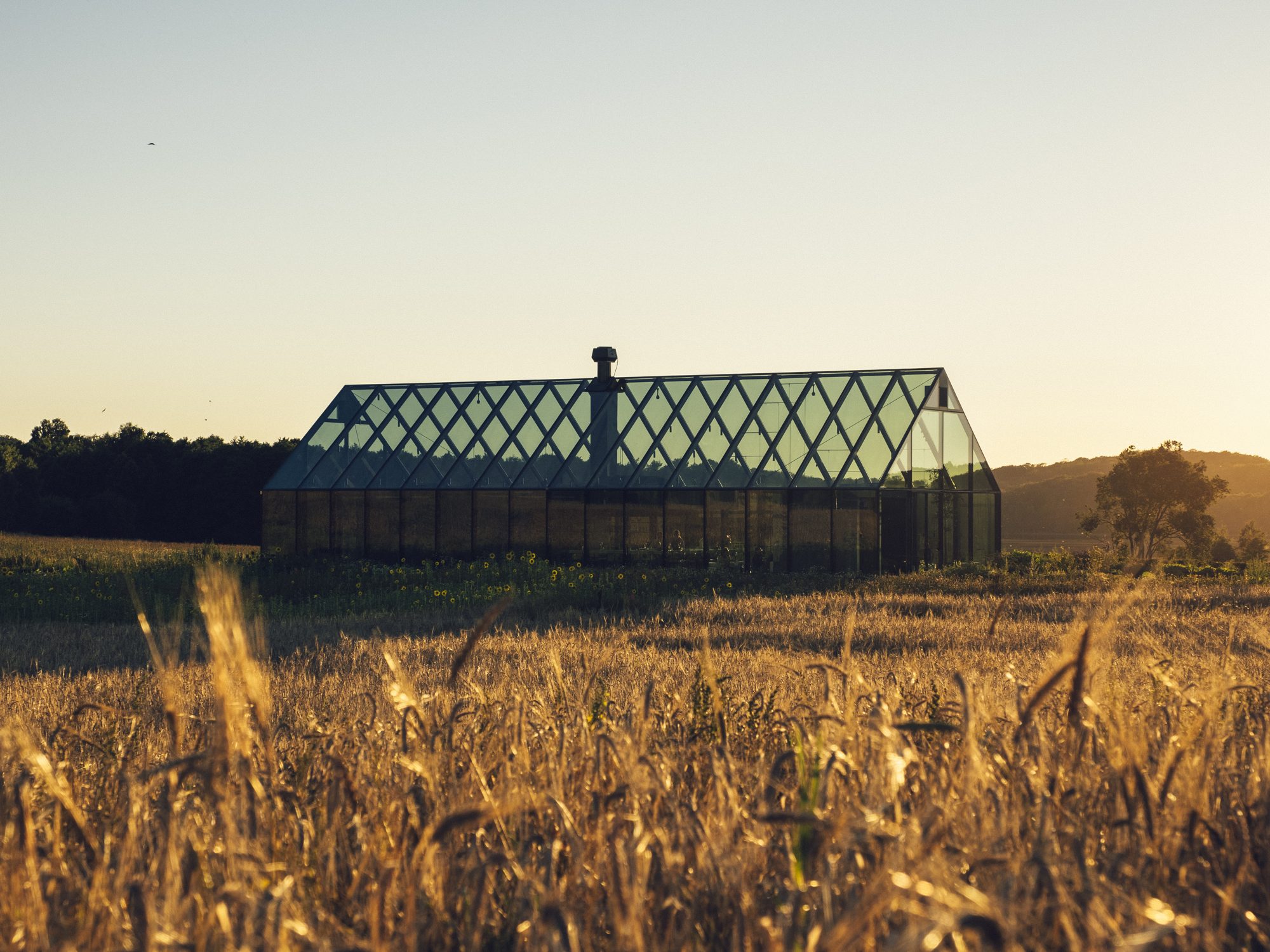 Restaurang ÄNG, Ästad Vingård — das gläserne Restaurant steht allein in der Wiese im Abendlicht