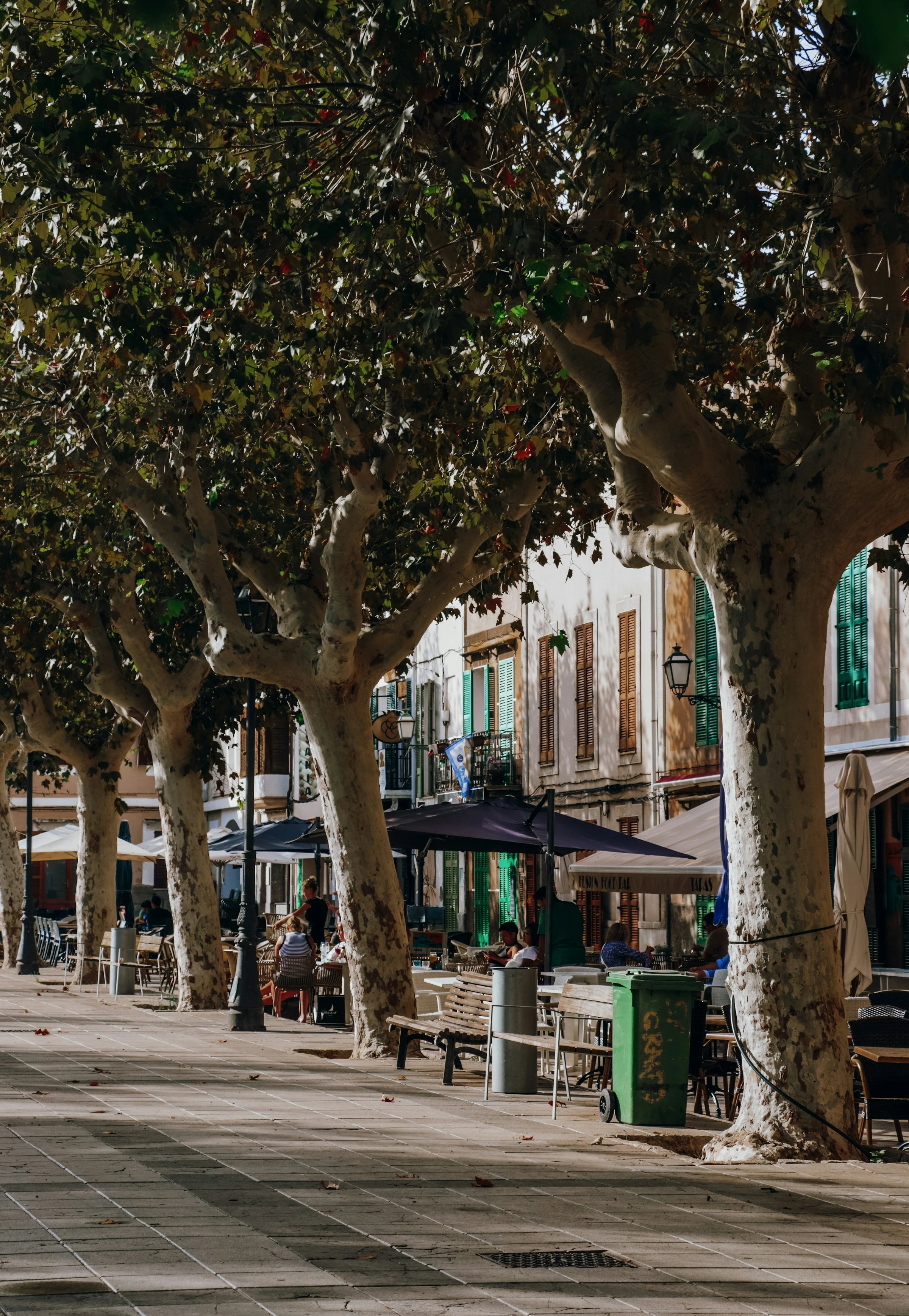Bäume und Cafés im Ortskern von Artà. Im Ort ist alles zu Fuß erreichbar, nach Palma geht es im Winter mit Bus und Zug über Manacor. Foto: Anna / Unsplash