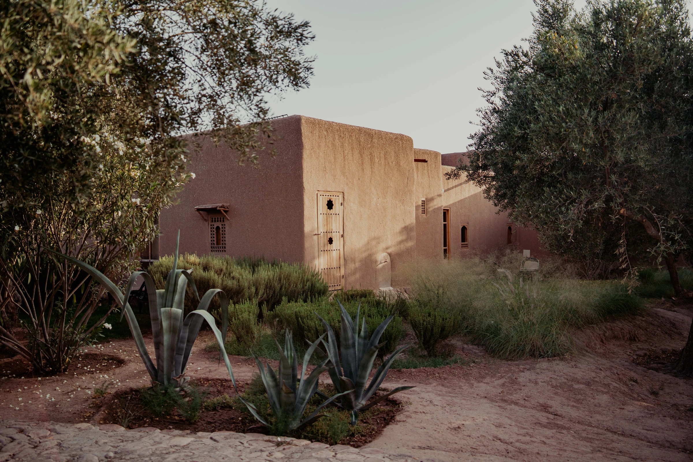 Die Bäume des alten Olivenhains blieben beim Bau der Lodge stehen; zwischen ihnen verbringt man die warmen Mittagsstunden. Foto: Berber Lodge