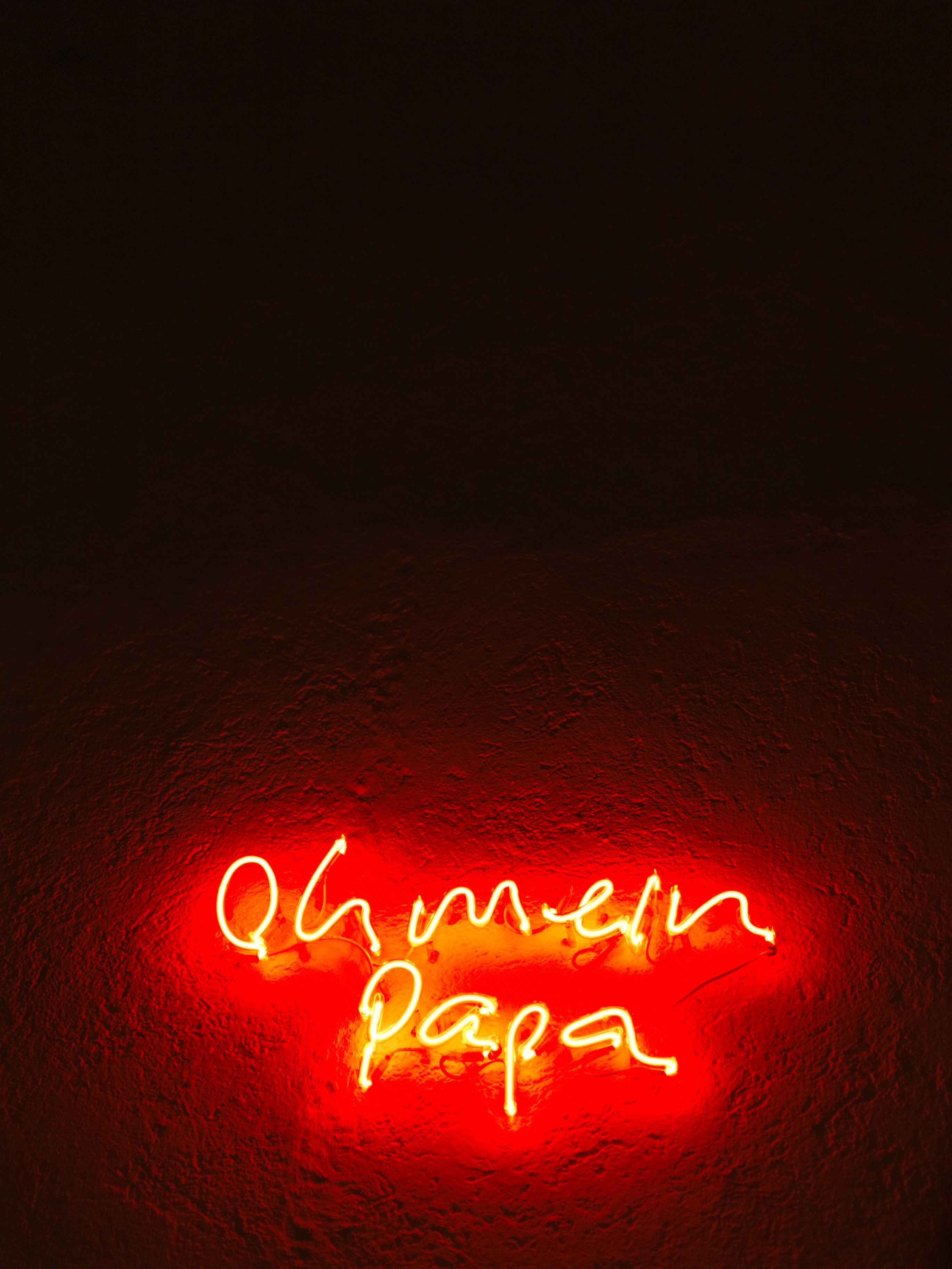 Arthotel Blaue Gans — Kunstwerk von Lori Hersberger im Haus