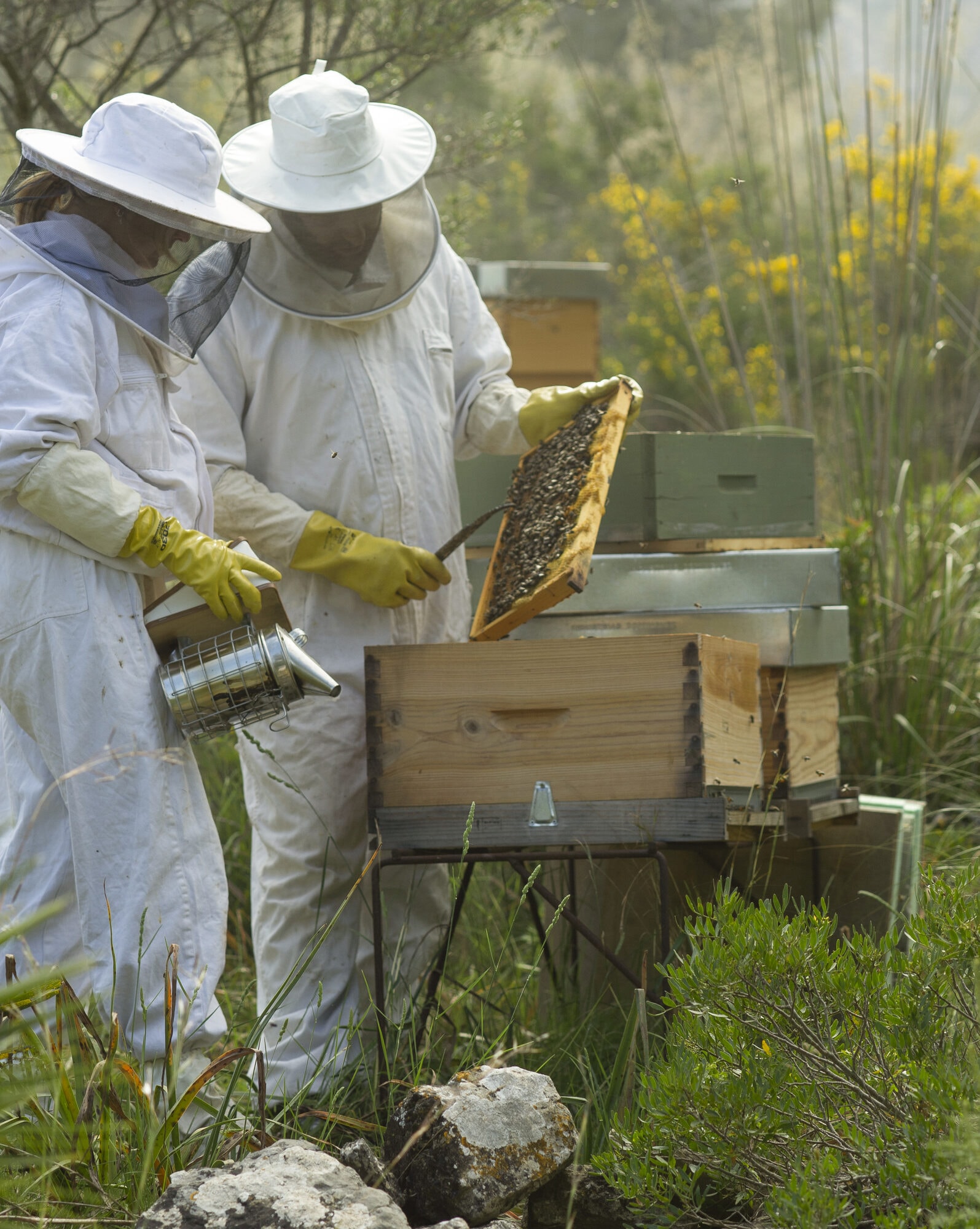 Es Racó d'Artà — Imker an den hauseigenen Bienenstöcken