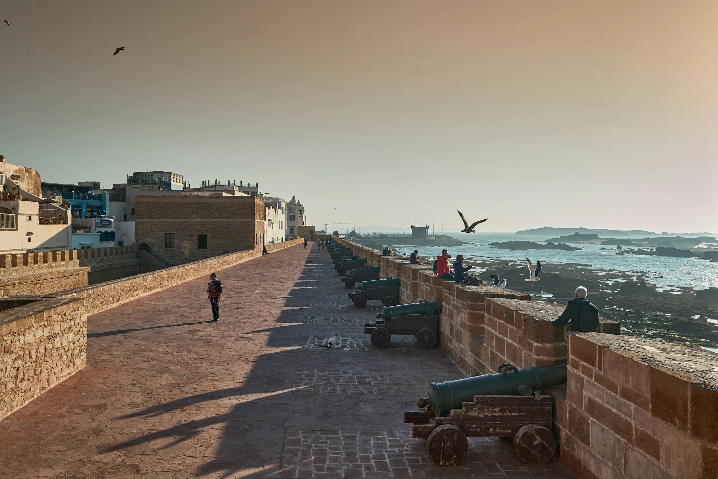 Oualidia or Essaouira: which town suits your Morocco trip?