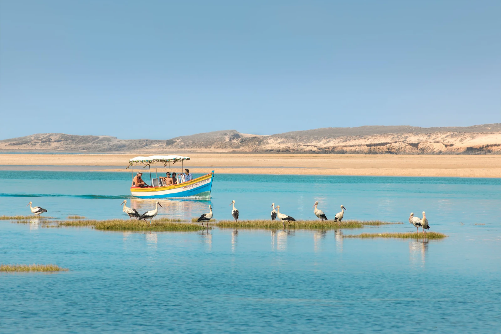 A brightly painted boat on the lagoon, storks on a sandbank in front. Photo: La Sultana Oualidia