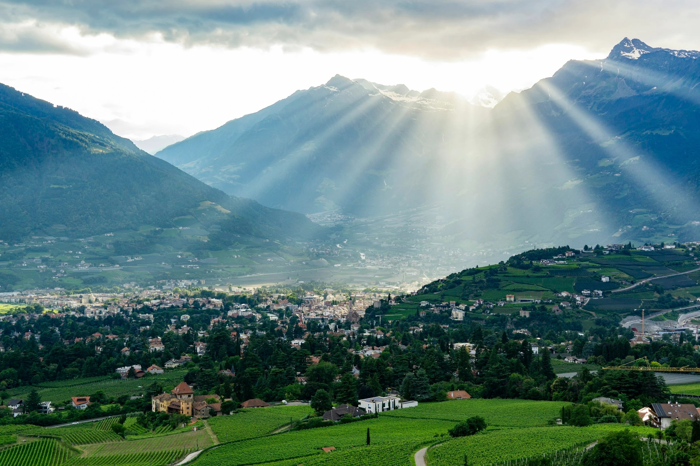 Vineyards between Lana and Merano. Photo: Vincenzo Inzone / Unsplash