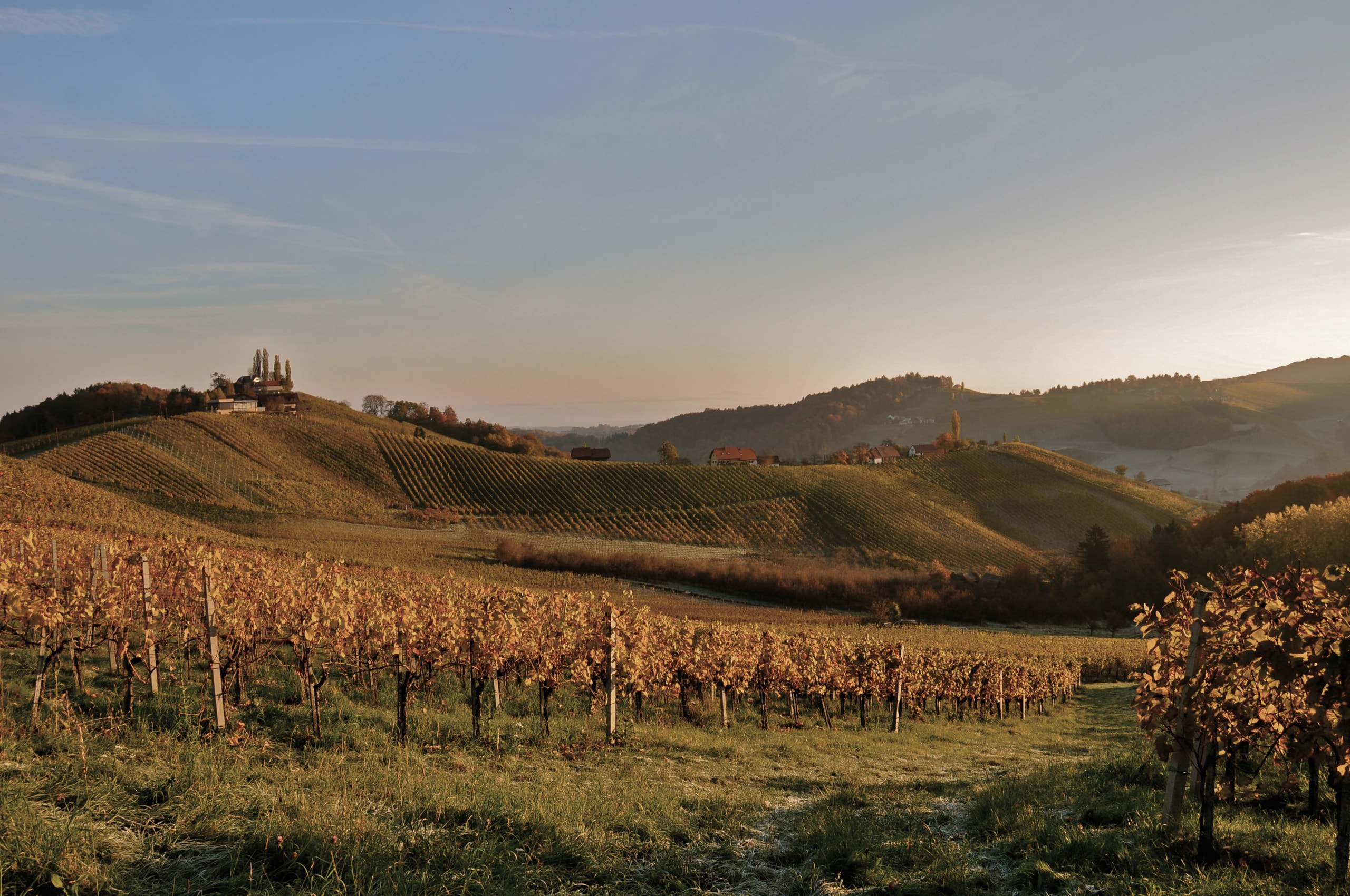 The South Styrian Wine Road in autumn: wine, inns and where to stay