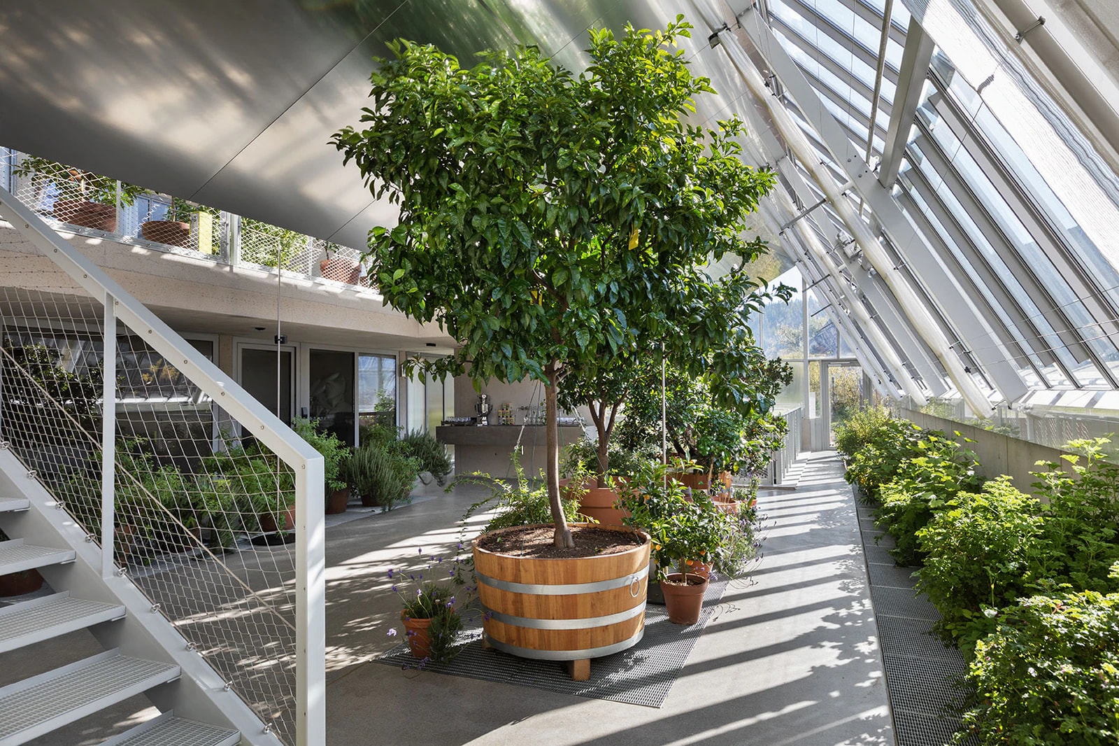 Potted plants and beds under the glass roof. Photo: Steirereck am Pogusch