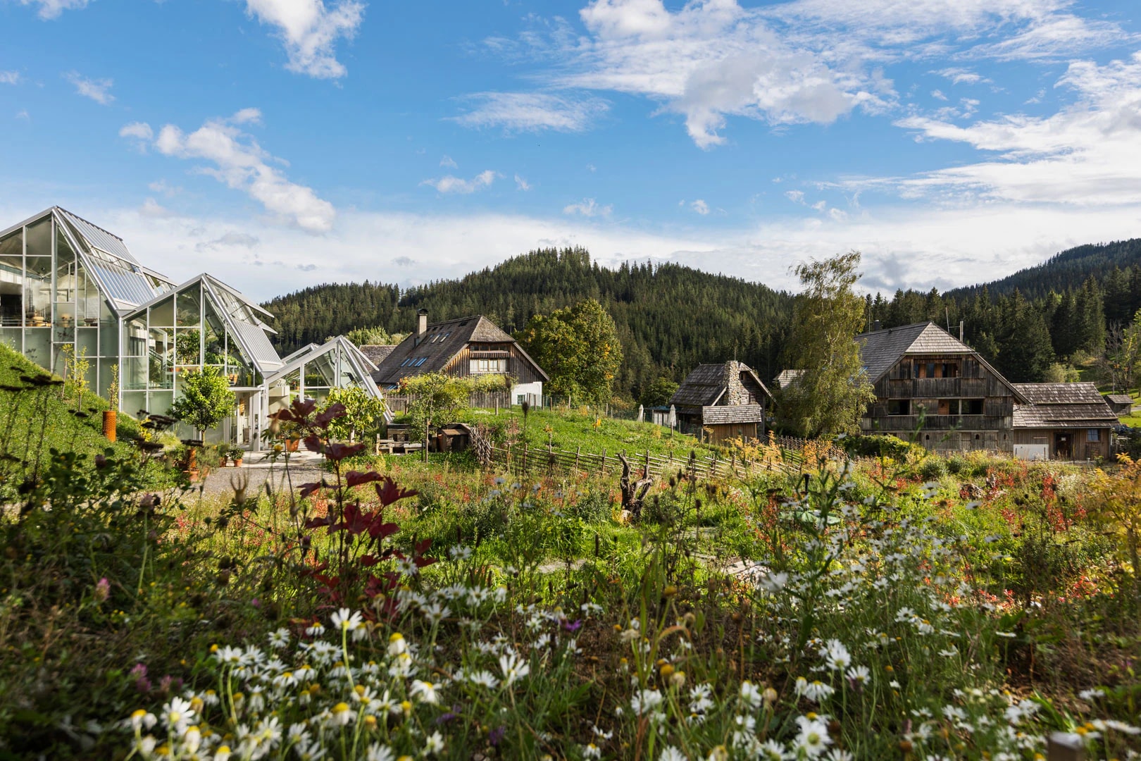 Staying at Steirereck am Pogusch: greenhouse, treehouse or barn?