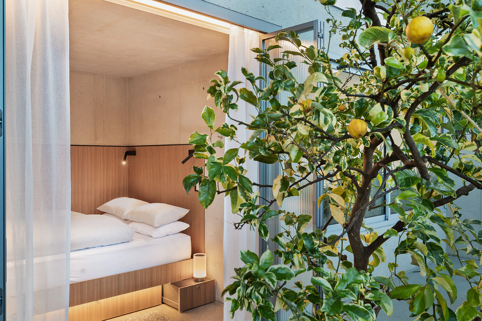 A cabin inside the greenhouse, a lemon tree in front. Photo: Steirereck am Pogusch