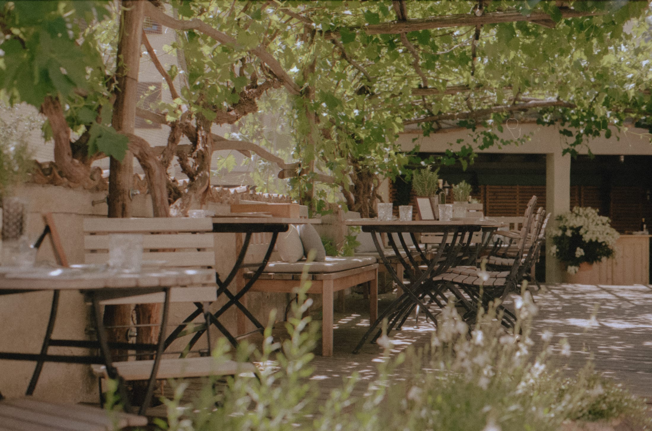 1477 Reichhalter — Terrasse mit Tischen unter Bäumen für das Mittagessen
