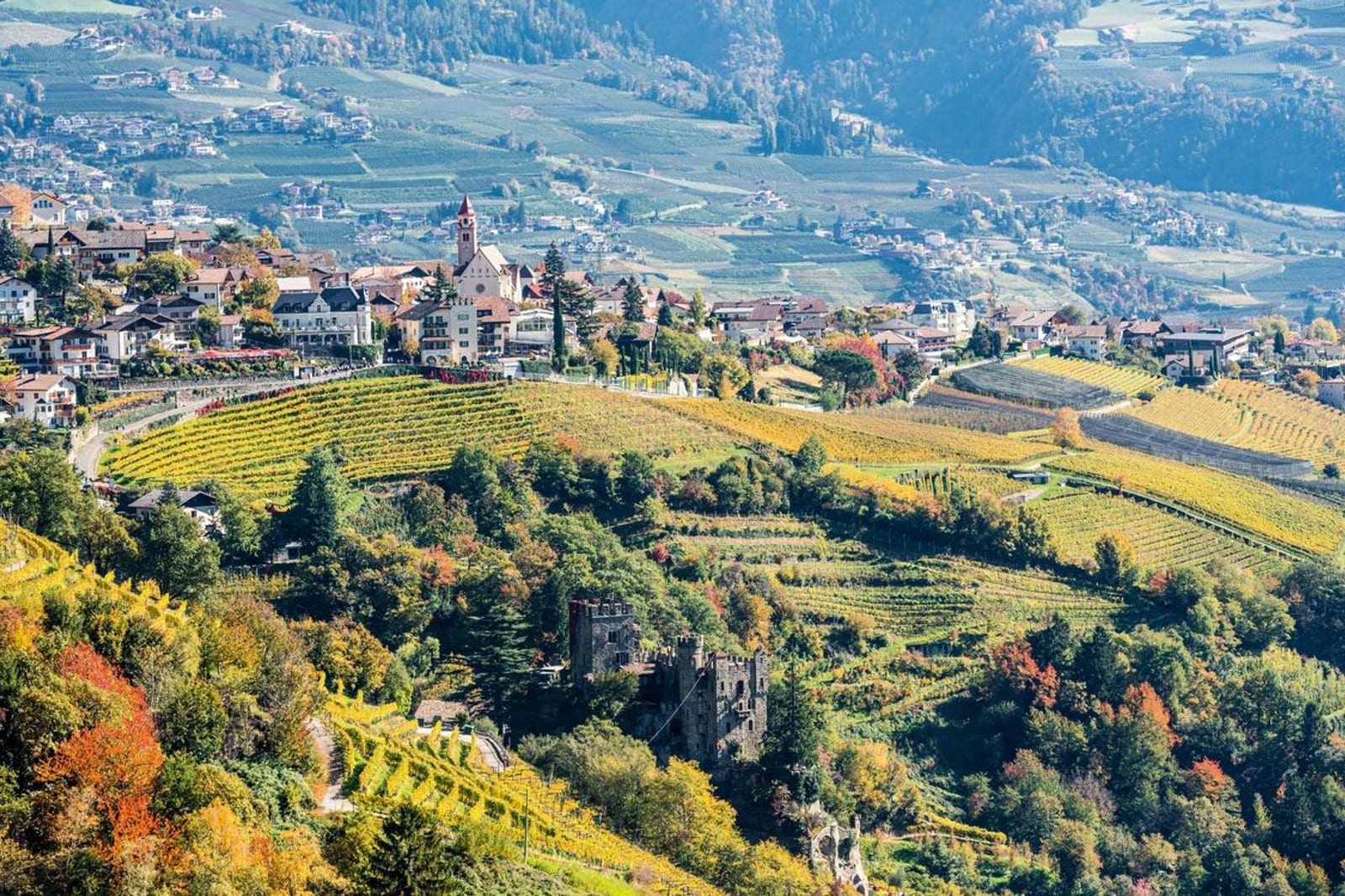 Vineyards and a village surrounding Lana in autumn light
