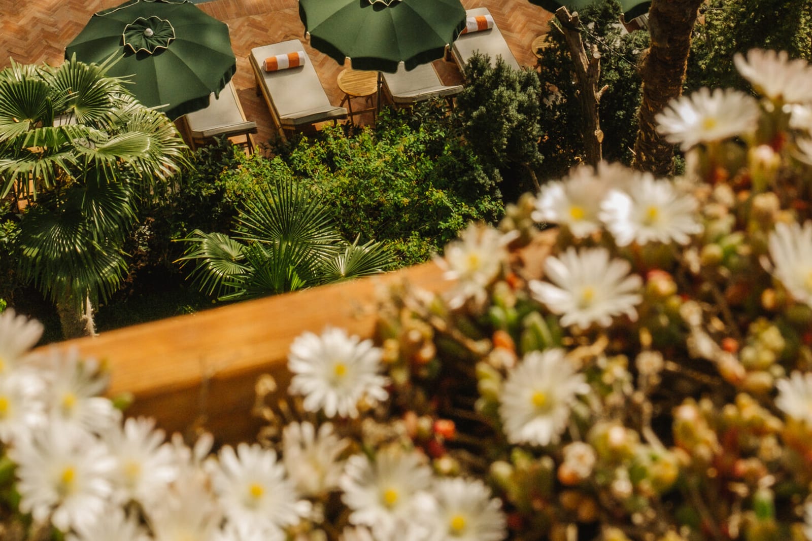 The hidden garden of Parkhotel Mondschein in the heart of Bolzano