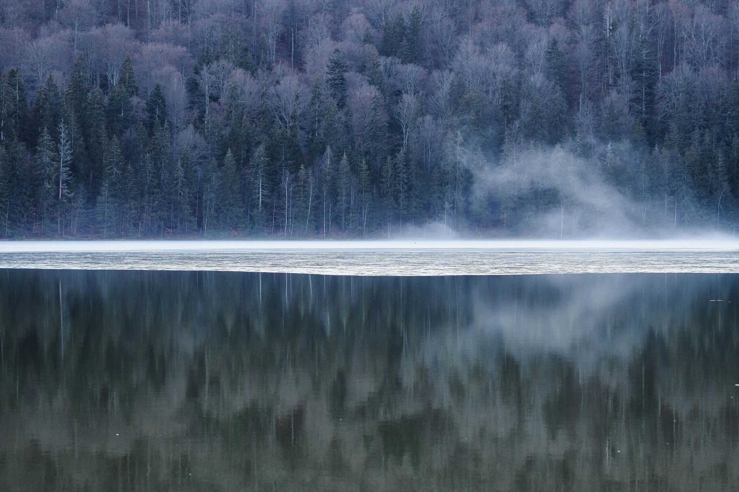 Mist over Lake Saint Ana, with spruce and bare deciduous trees on the shore. Photo: Lawrence Chismorie / Unsplash