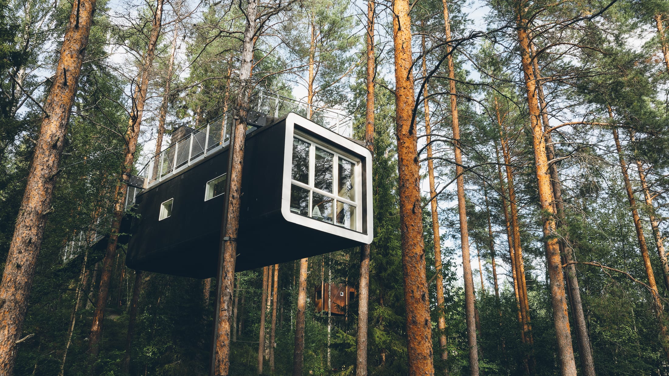 Treehotel — The Cabin, eine an den Bäumen hängende Kapsel, erreichbar über eine lange Brücke