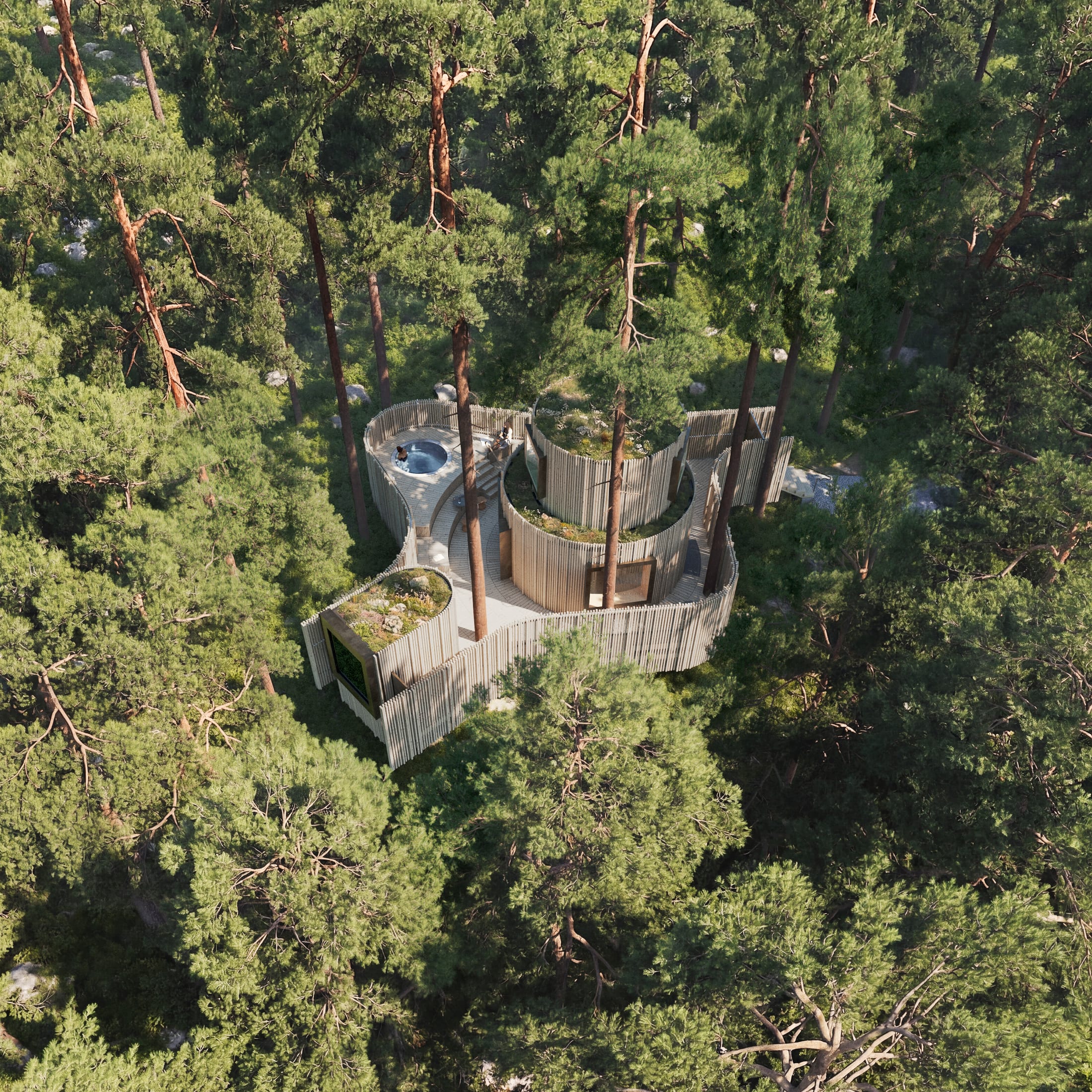 Treehotel — Oasis aus der Vogelperspektive, eingebettet in den Wald von Harads