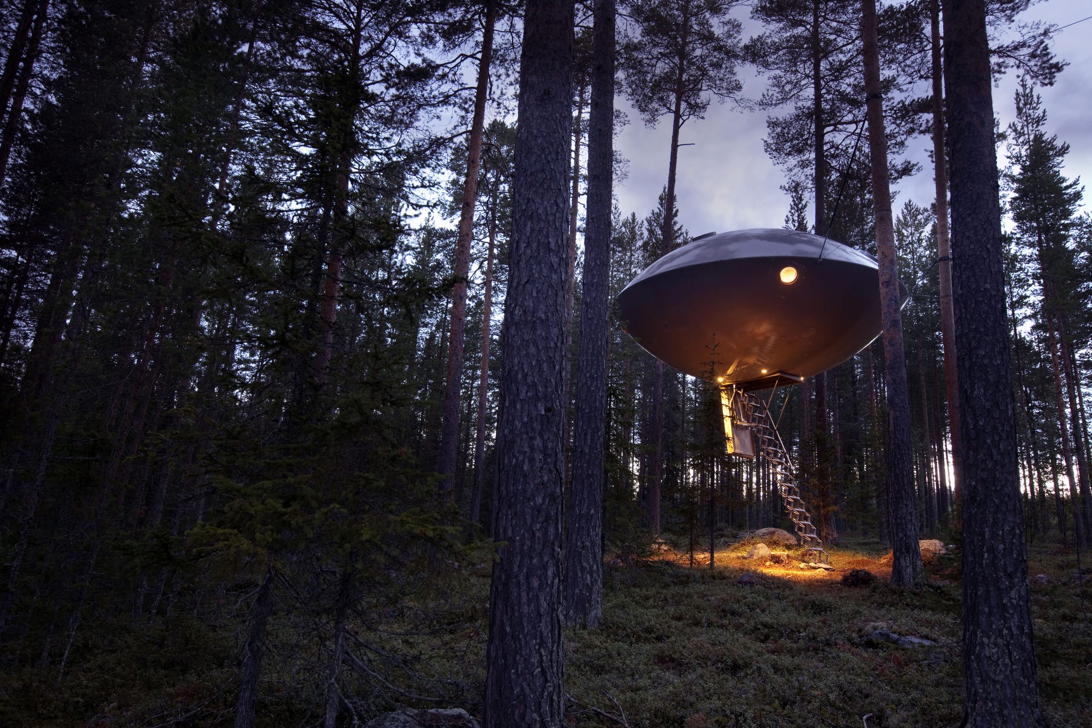 Treehotel — das UFO im Wald, mit ausklappbarer Leiter an der Unterseite
