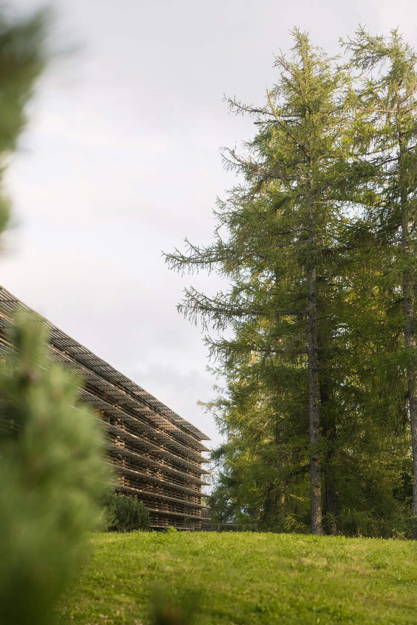 Das Gebäude des vigilius mountain resort zwischen den Lärchen des Vigiljochs