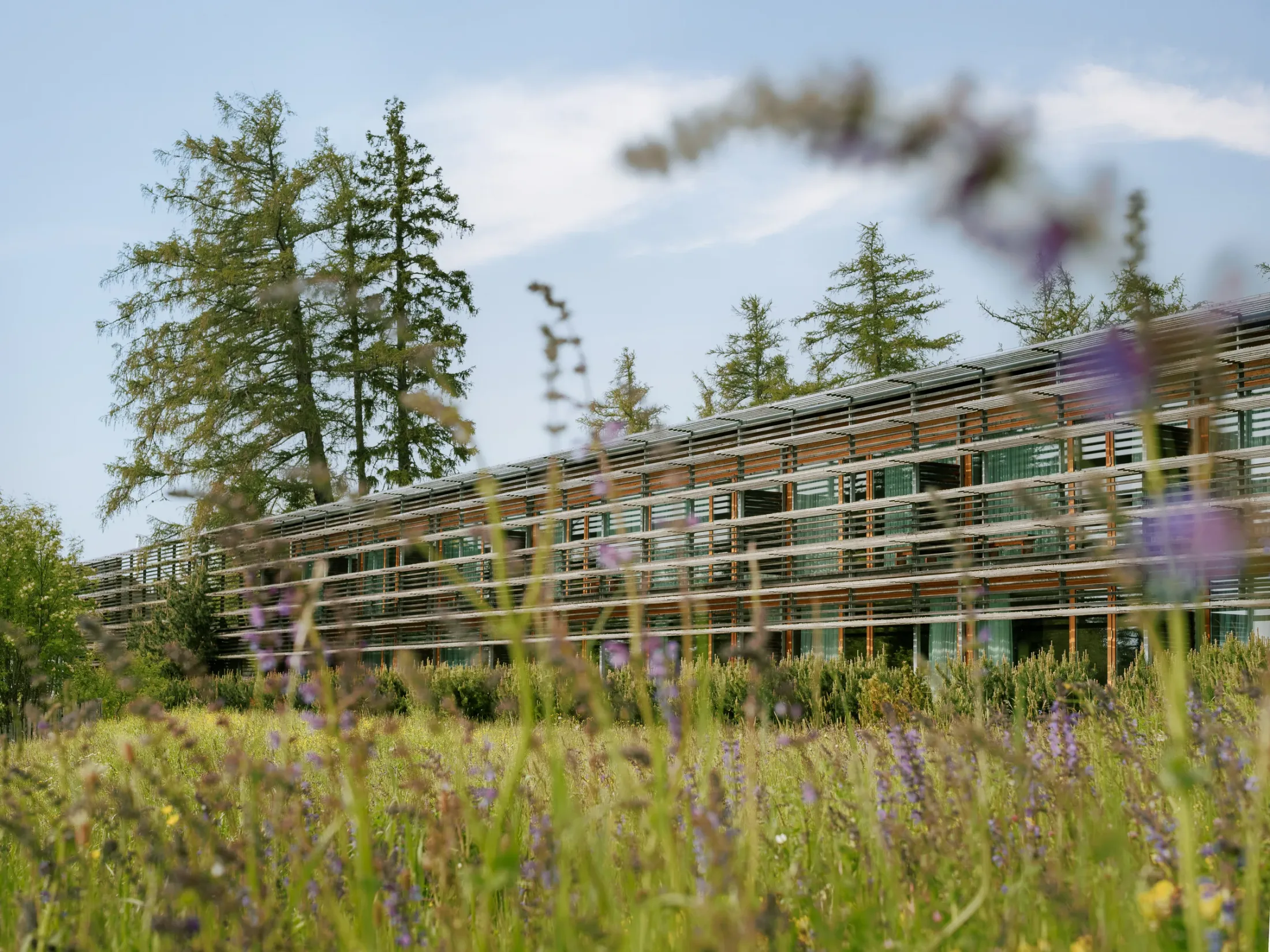 vigilius mountain resort mit Blick über die Wälder und Berge des Vigiljochs