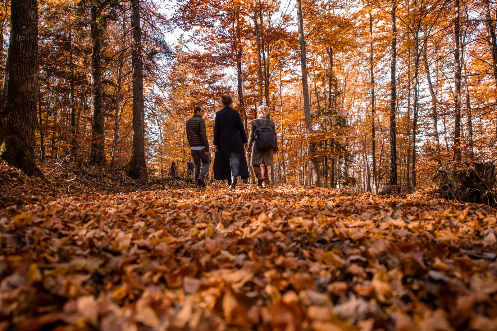 Three walkers on a forest path among autumn leaves. Photo: Pauline Roy Chowdhury / Zabola Estate