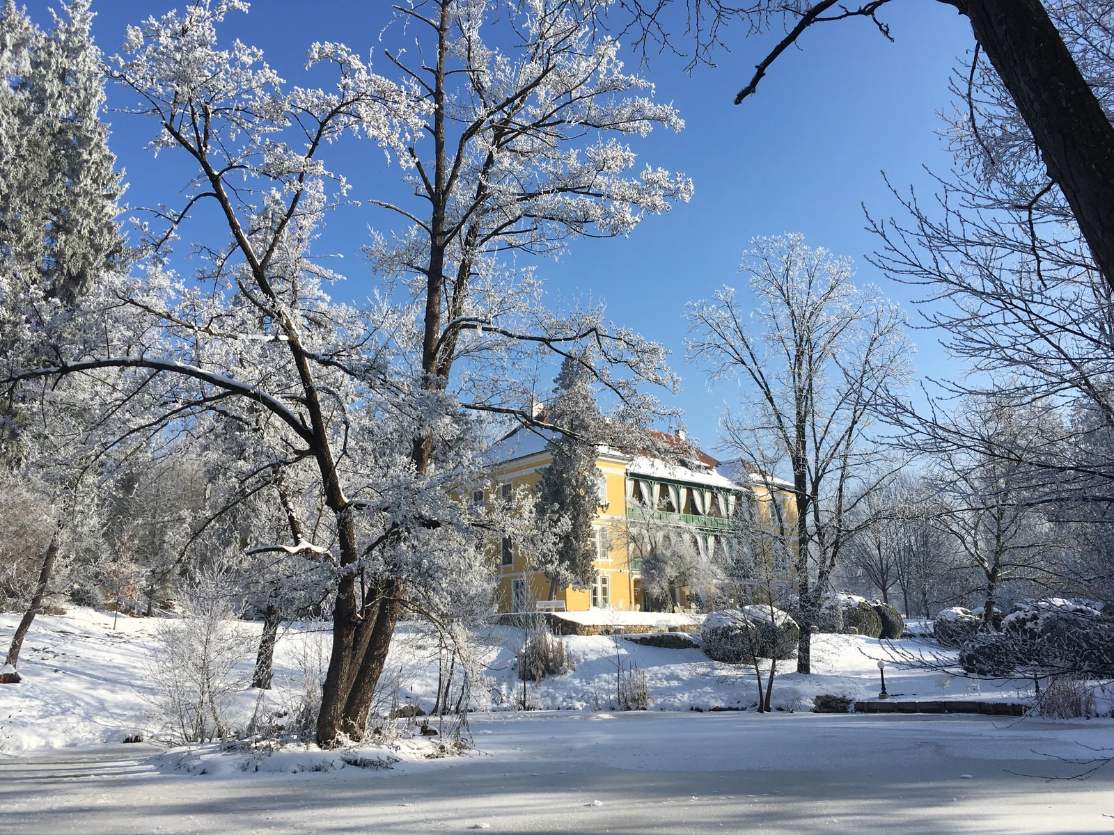 Snow in the park, frost on the trees and the yellow manor house behind. Photo: Pauline Roy Chowdhury / Zabola Estate