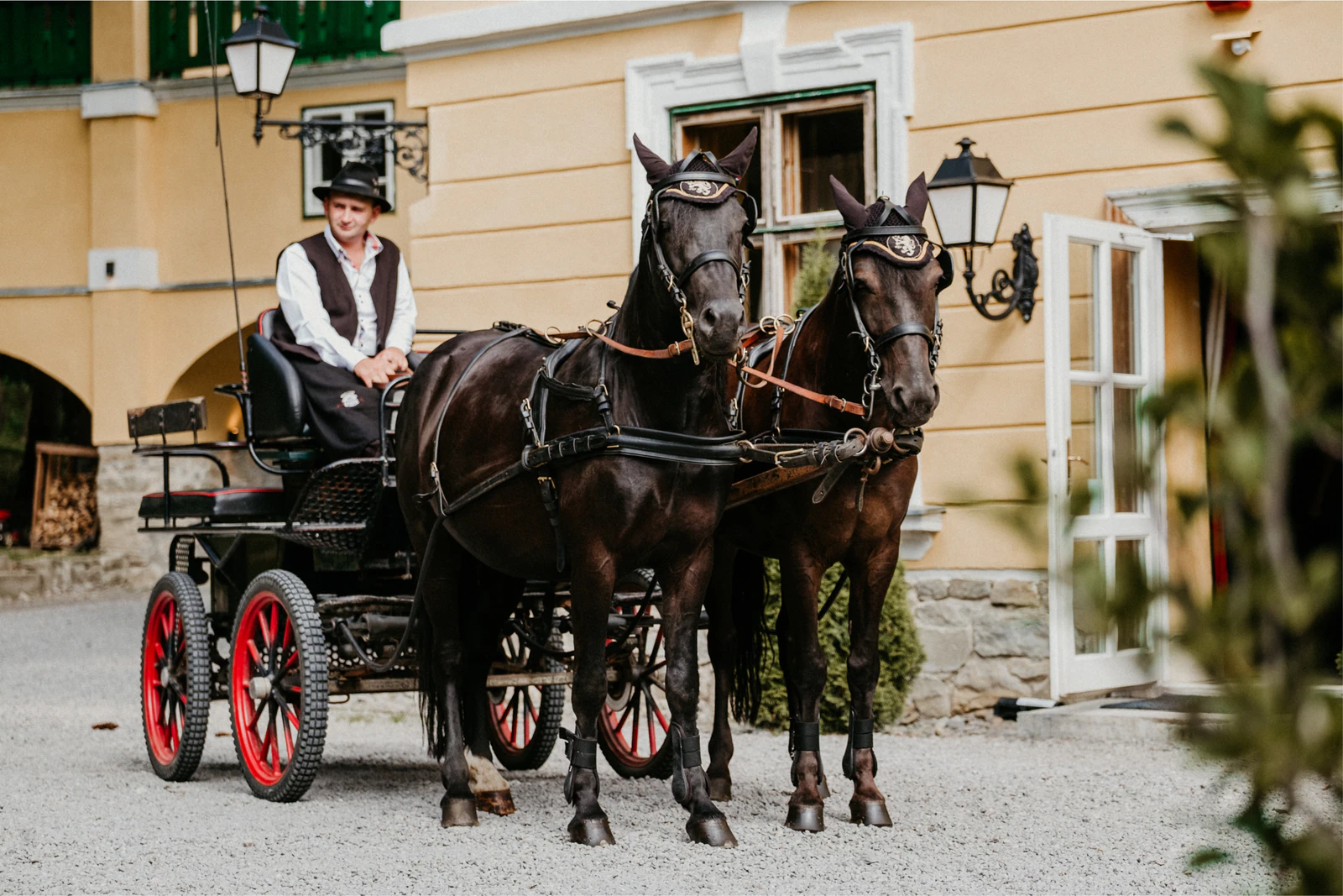 A coachman on a two-horse carriage outside a yellow building. Photo: Zabola Estate